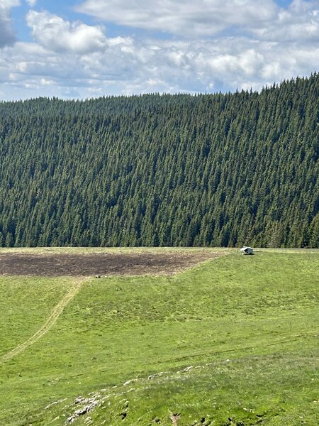 Magurele Teren 3.000 mp  ideal pentru ansamblu de case / dezvoltare