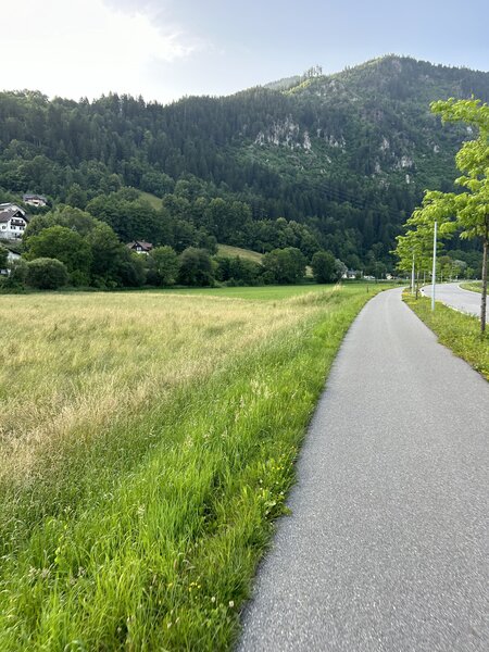 Magurele Teren 3.000 mp  ideal pentru ansamblu de case / dezvoltare